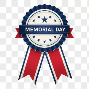 Memorial Day Blue Star Rosette Ribbon