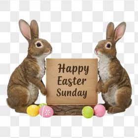 Realistic Brown Bunnies Easter Wooden Sign